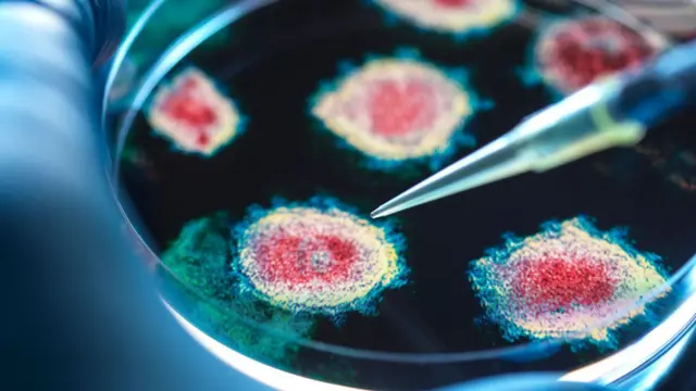 கோவிட்டின் புதிய திரிபு