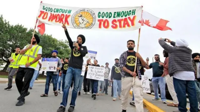 બીબીસી ગુજરાતી, ગુજરાત, બીબીસી, કૅનેડા, ઇમિગ્રેશન, ભારતીય વિદ્યાર્થી, પંજાબ