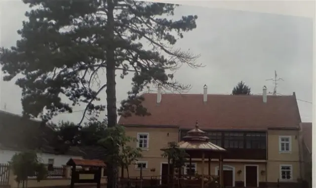 Porodična kuća Milutina Milankovića u Dalju 