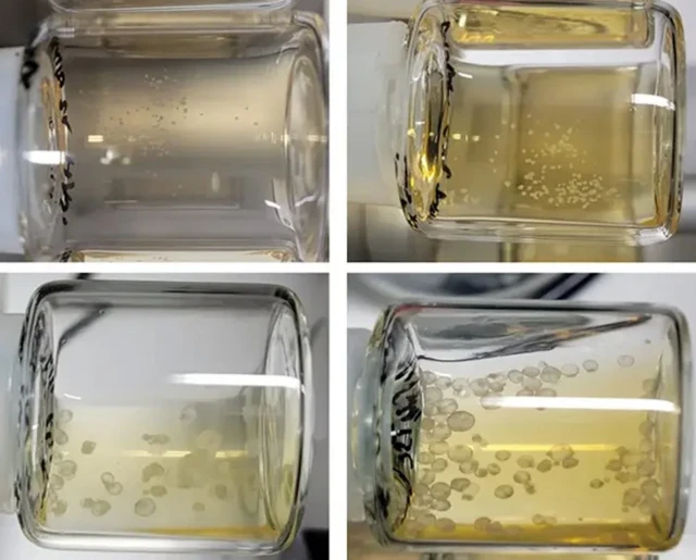 รูปตัวอ่อนในขวดเหลือง