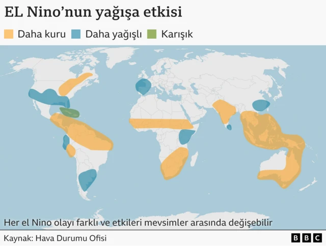 El Niño'nun tipik yağış etkilerini gösteren dünya haritası, El Niño olayları sırasında daha kurak, daha yağışlı veya karışık koşullar yaşama eğiliminde olan bölgeler vurgulanıyor. 