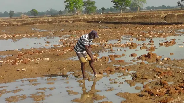 ගංවතුර හේතුවෙන් හානි සිදුවූ සිය කුඹුර පිරිසිදු කරන ගොවි මහතෙක්.