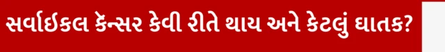સર્વાઇકલ કૅન્સર કેવી રીતે થાય, સર્વાઇકલ કૅન્સર કેટલું ઘાતક અને મૃત્યુદર, સર્વાઇકલ કૅન્સરનો ઈલાજ, ઍઇમ્સ દ્વારા બ્લડ ટેસ્ટ, યુવતીઓ અને મહિલાઓનું આરોગ્ય, બીબીસી ગુજરાતી સાથે સમજો, બીબીસી ન્યૂઝ ગુજરાતી 