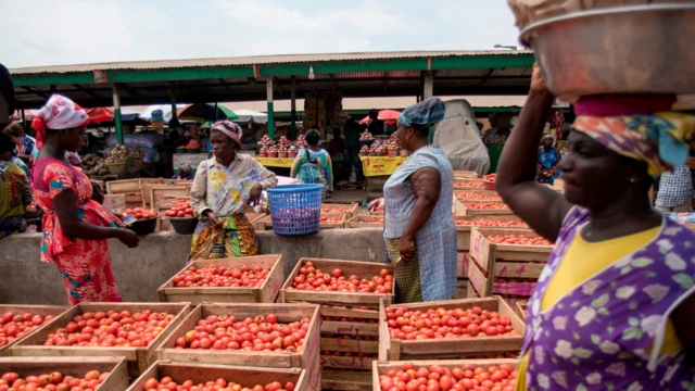 FILE: Foto show wia de dey offload tomato box dem