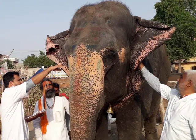 હાથી