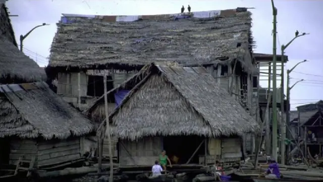 समंदर में शहर, सागर पारिस्थितिकी