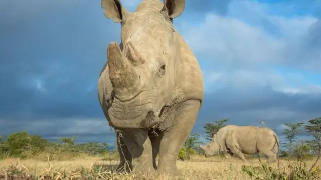 Sudan