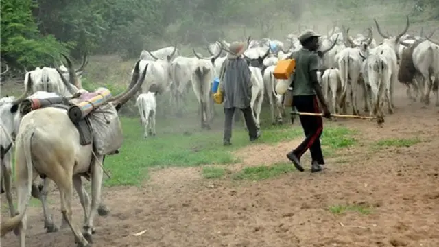 Awọn Fulani to n da ẹran