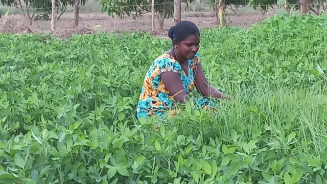 සත්යනාදන් යශෝදරනි