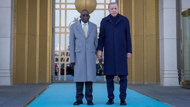 Tinubu da Shugaban Turkiyya