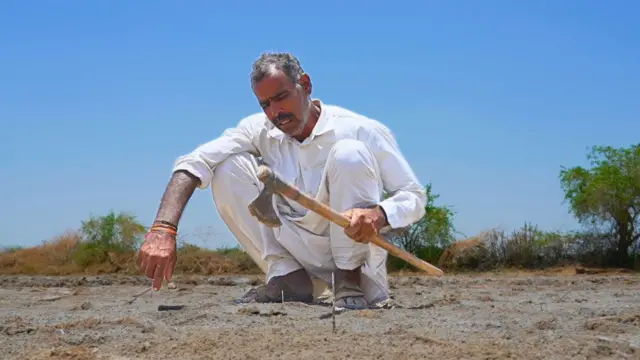 ચોથરનેસડા ગામના ખેડૂત