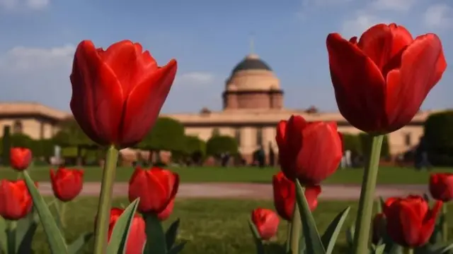 అమృత్ ఉద్యాన్‌