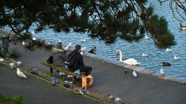 డేటింగ్ యాప్, సంబంధాలు, వయసు, స్త్రీ పురుషుల అనుబంధం, కెరీర్