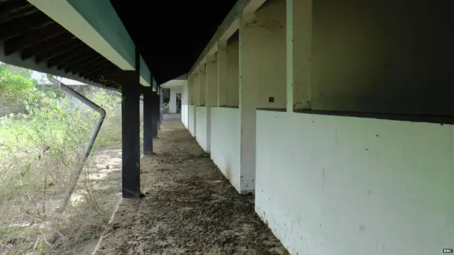 වල් බිහි වූ නිවාස