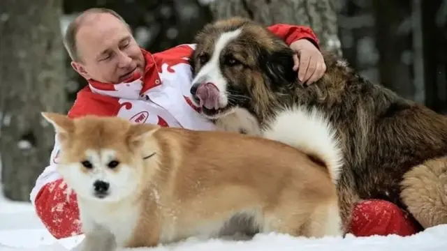 Putin ari kumwe n'imbwa ze Buffy na Yume