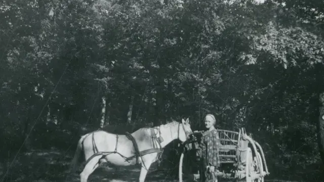 Исидора Секулић