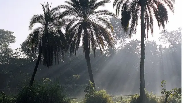 ঢাকায় পুরোপুরি না হলেও গ্রামীণ এলাকাগুলোয় এর মধ্যেই শীতের আমেজ পাওয়া যাচ্ছে