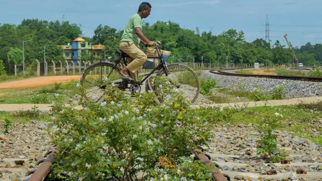 আগরতলা থেকে আখাউড়া রেল প্রকল্পের ট্রেনলাইনের ওপর জন্মেছে আগাছা