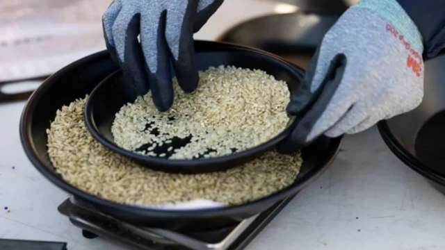 பத்தாண்டுகள் பழைய அரிசியை சாப்பிடலாமா? அதன் சுவை, தரம் எப்படி இருக்கும்?