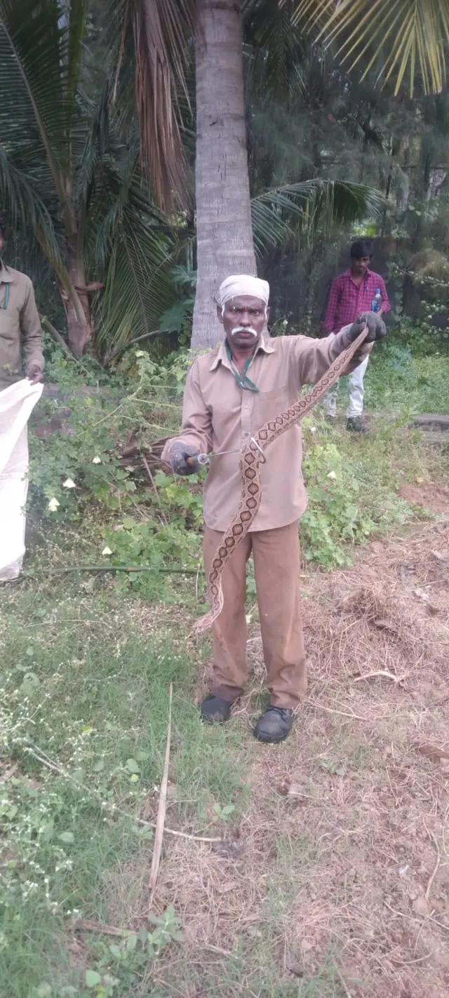 பாம்பு பிடி வீரர்கள்