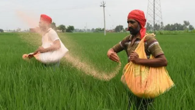 ਦੇਸ਼ ਵਿੱਚ ਰਸਾਇਣਕ ਖਾਦ ਦੀਆਂ ਕੀਮਤਾਂ ਵਿੱਚ ਲਗਾਤਾਰ ਵਾਧਾ ਹੋ ਰਿਹਾ ਹੈ।