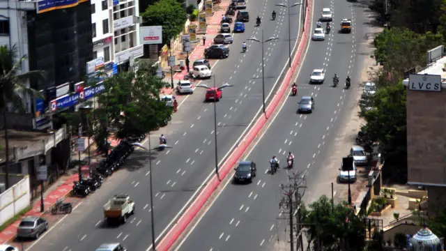 கோவை, பசுமை, மரத்தை வேரோடு பிடுங்கி மறுநடவு