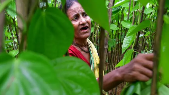 கணக்கில் வராத பெண்களின் மரணங்கள்