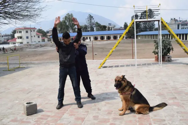 'डिजे' नामक यो कुकरले अवकाश पाइसकेको छ। तस्बिरमा एक जना प्रहरी ह्यान्डलर र अर्का सादा पोशाक लगाएका व्यक्तिका छेउमा डीजे बसिरहेको देख्न सकिन्छ।