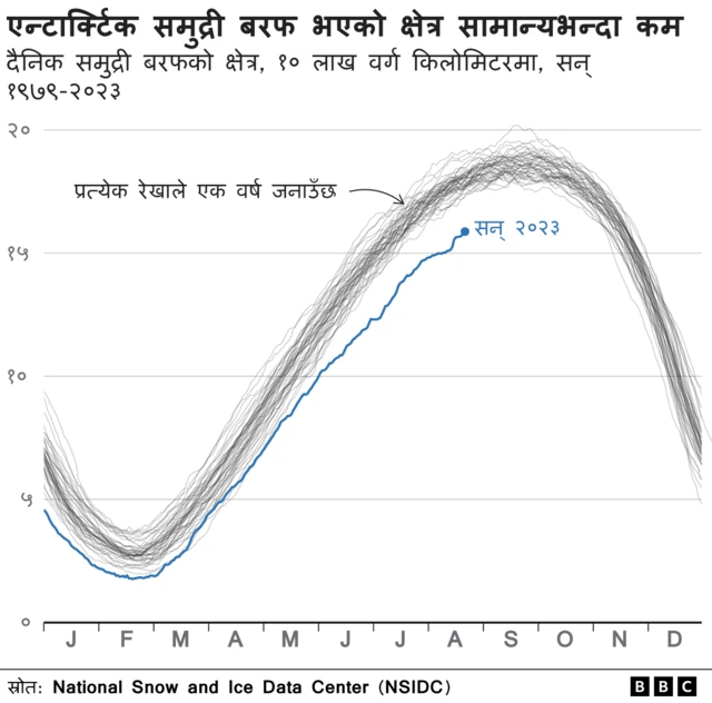 इम्प्रेरर पेङ्विन