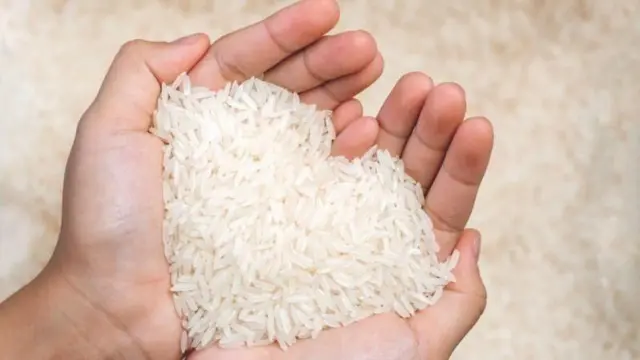तांदूळ