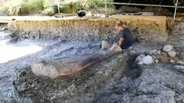 डायनासोर की जांघ की हड्डी