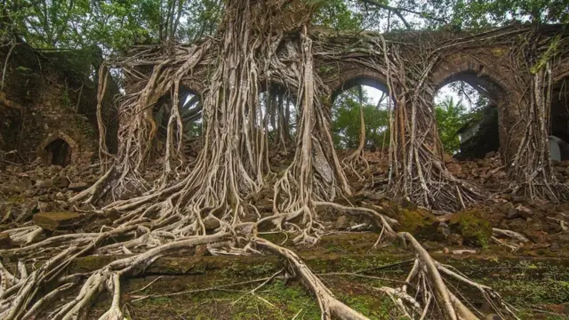 （圖片來源：Neelima Vallangi）