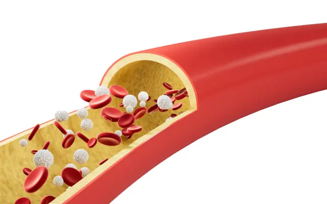 र﻿क्तातल्या लाल आणि पांढऱ्या पेशी