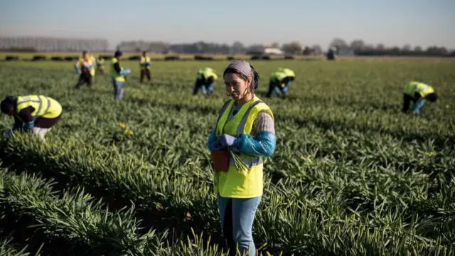 Agricultores