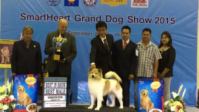 สามารถ สิงโตห์ทอง