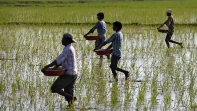 मल छर्दै मानिसहरू