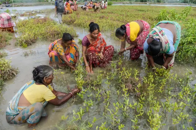 மகாத்மா காந்தி பெயர் நீக்கம்; மத்திய, மாநில நிதிப் பங்கீடு பிரச்னை – விபி–ஜி ராம் ஜி சர்ச்சையின் முழு பின்னணி