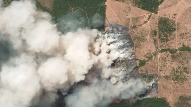 برازیل، ایمیزون آتشزدگی