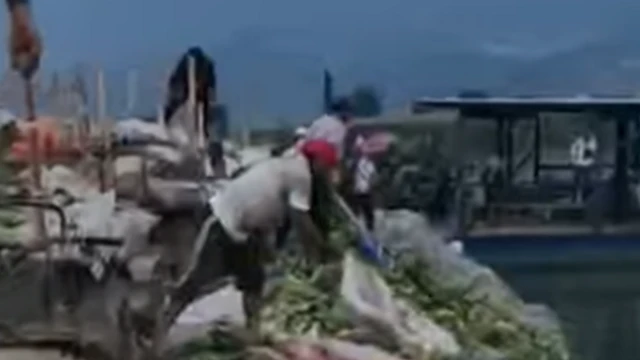 ဝယ်သူဈေးကွက်ဖြစ်နေ