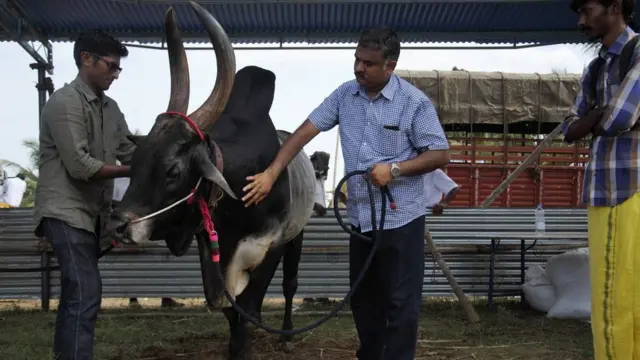 कार्तिकेय शिवसेनापति