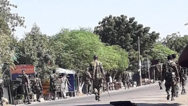 ኣባላት ምክልኻል ሰራዊት