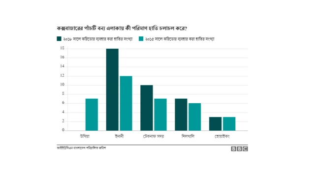 বন্য হাতি