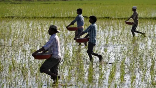 అన్నదాత