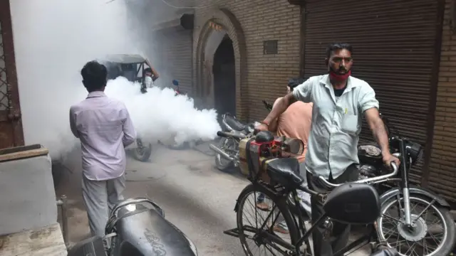 चिकनगुनिया, डास