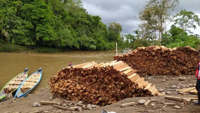 Madeiracomo usar bonus vai de betPau-de-balsa empilhada às margens do Rio Pastaza