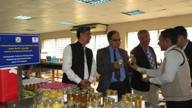 কাঁঠাল ব্যবহার করে কাঁঠালসত্ত্ব, কাঠালের চিপস, ভেজিটেবল মিট র্তৈরি হচ্ছে বাংলাদেশে