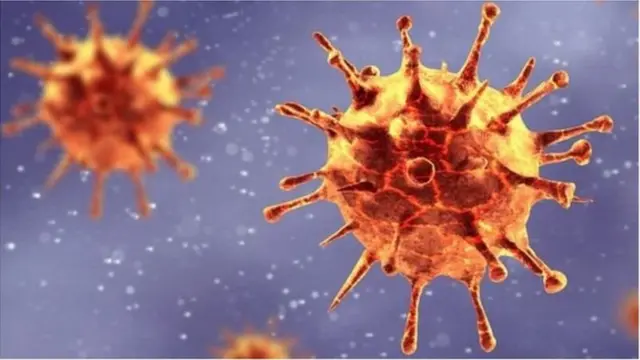 Koronavirus