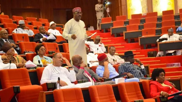 NIGERIAN SENATE