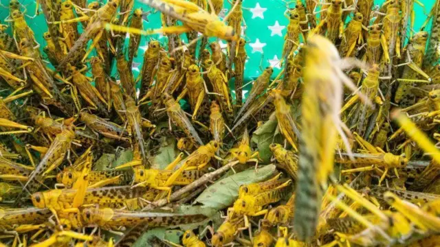 ወራር ኣንበጣ