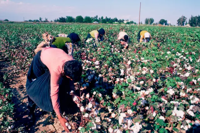 ગુજરાતમાં કપાસ અને મગફળીનું ઉત્પાદન કેવું રહ્યું છે?